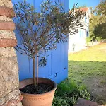 Ancienne Ferme Gersoise Holiday home