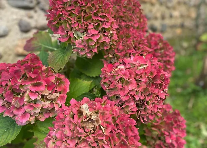 Holiday home Ancienne Ferme Gersoise Riscle