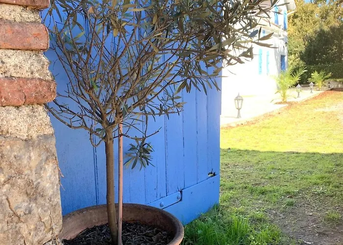 Ancienne Ferme Gersoise Holiday home