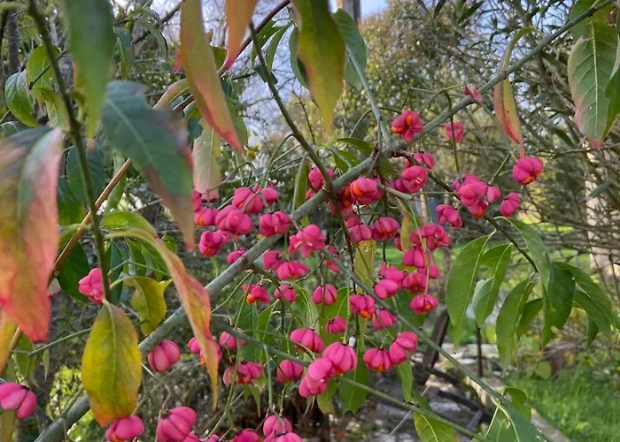 Ancienne Ferme Gersoise Holiday home